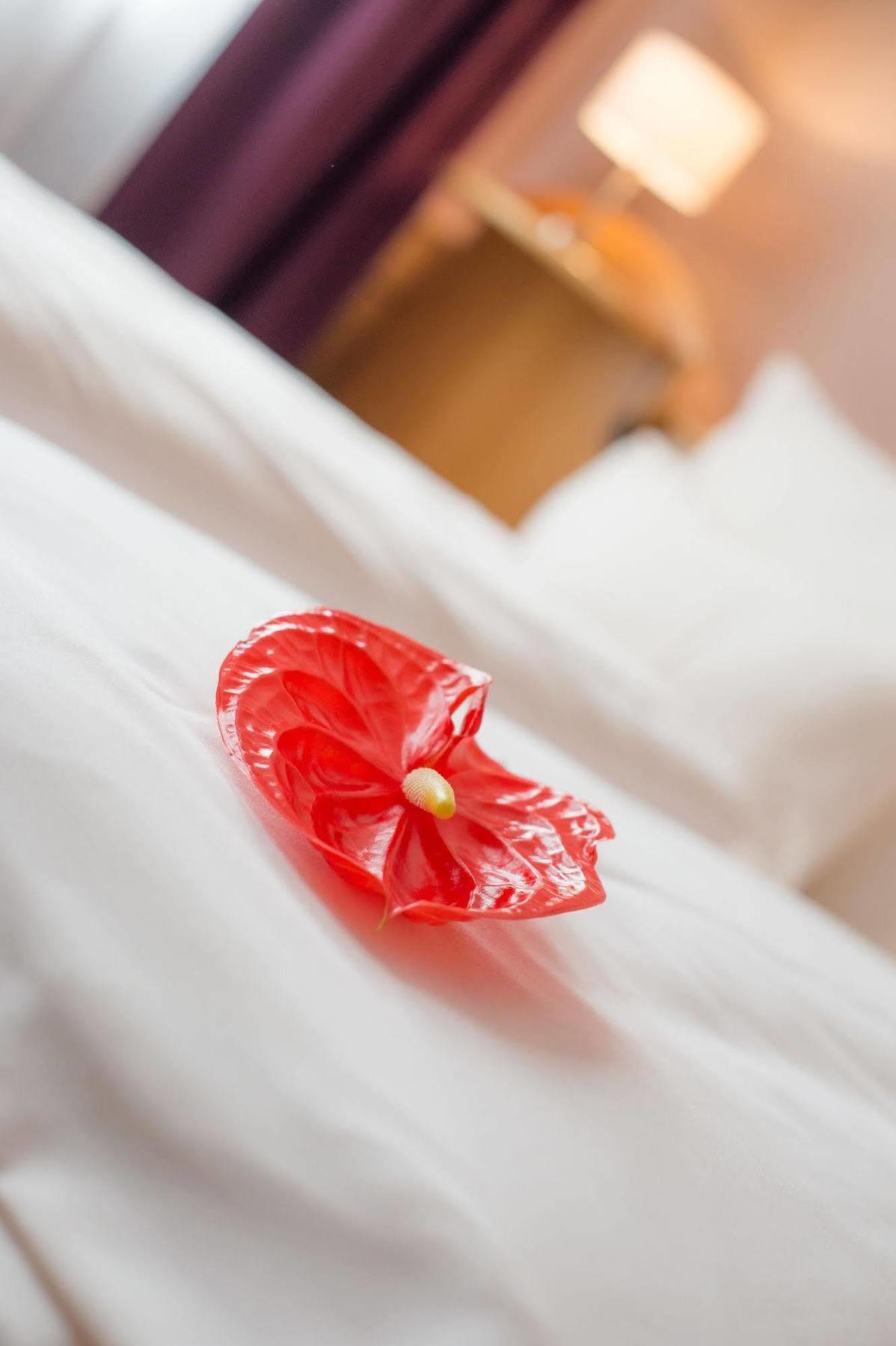 Hotel Raffel Jennersdorf Ngoại thất bức ảnh